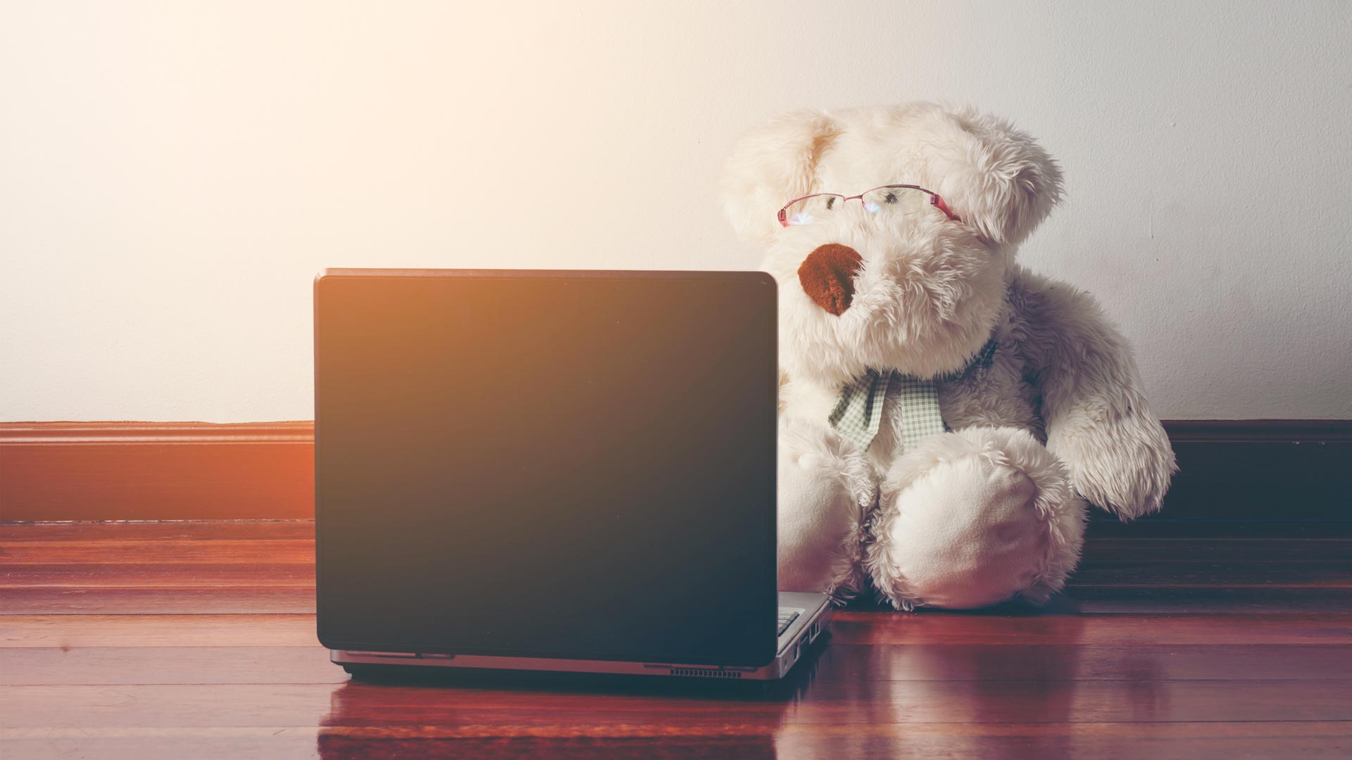 Teddy bear reading laptop