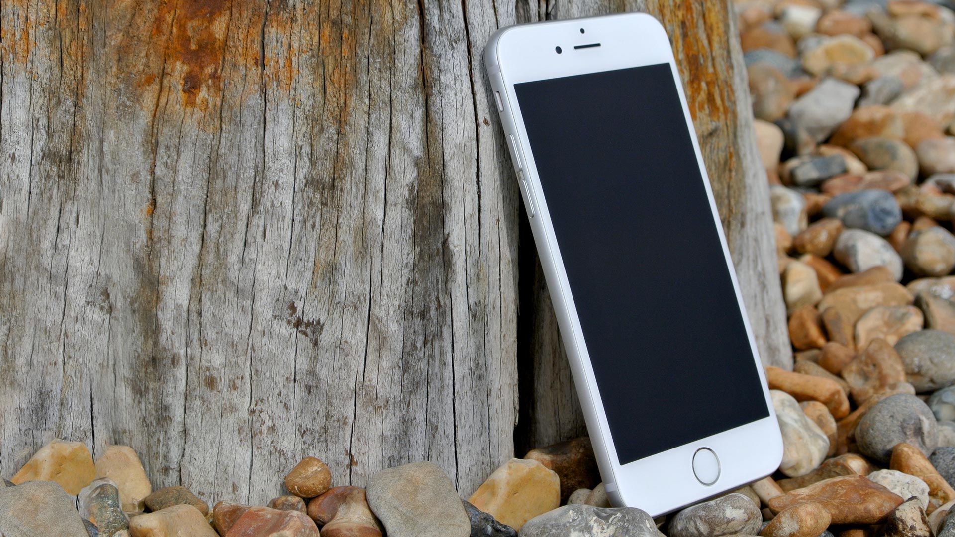 White iPhone leaning against tree trunk