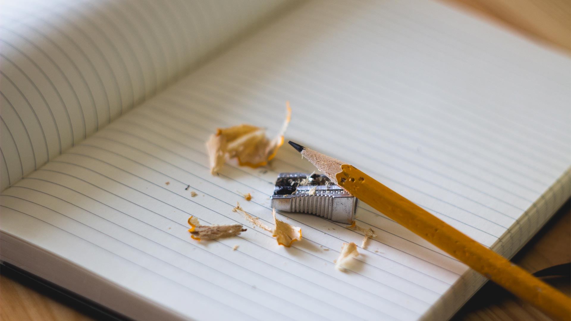 Pencil shavings on notebook