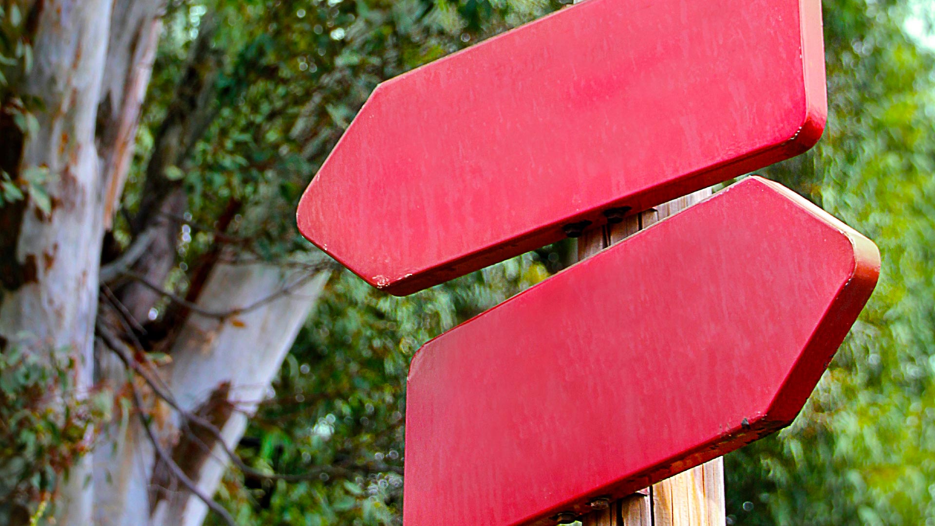 Read wood arrow signs