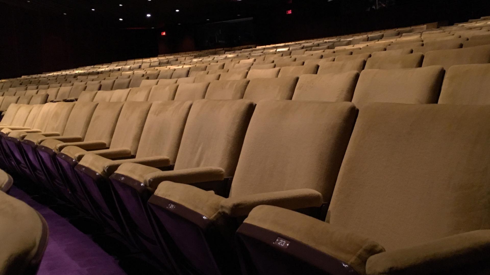 Empty theater seats