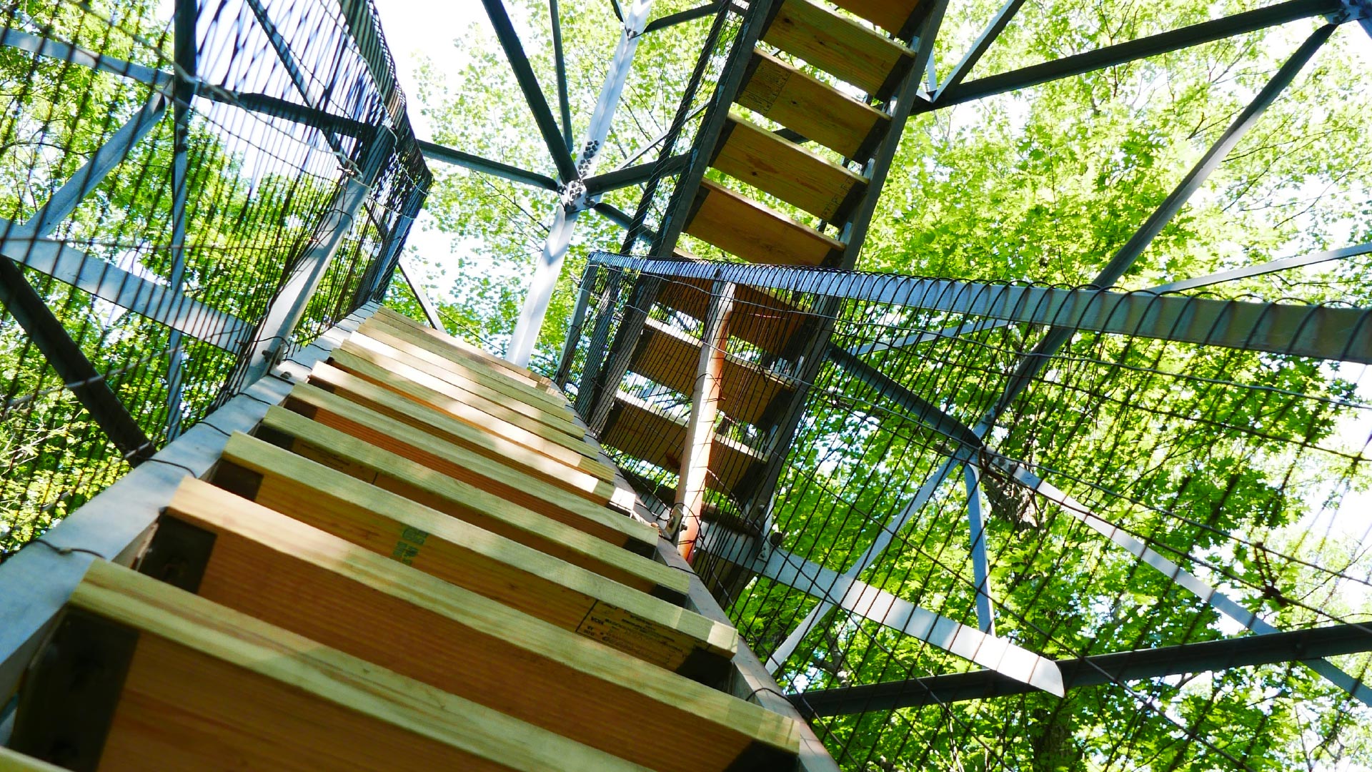 Ladder going up