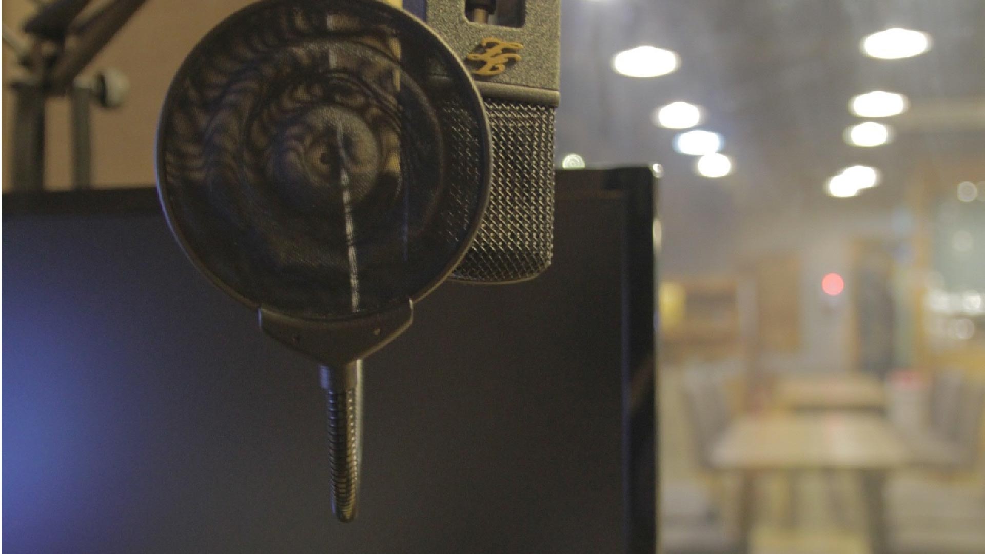 Microphone
