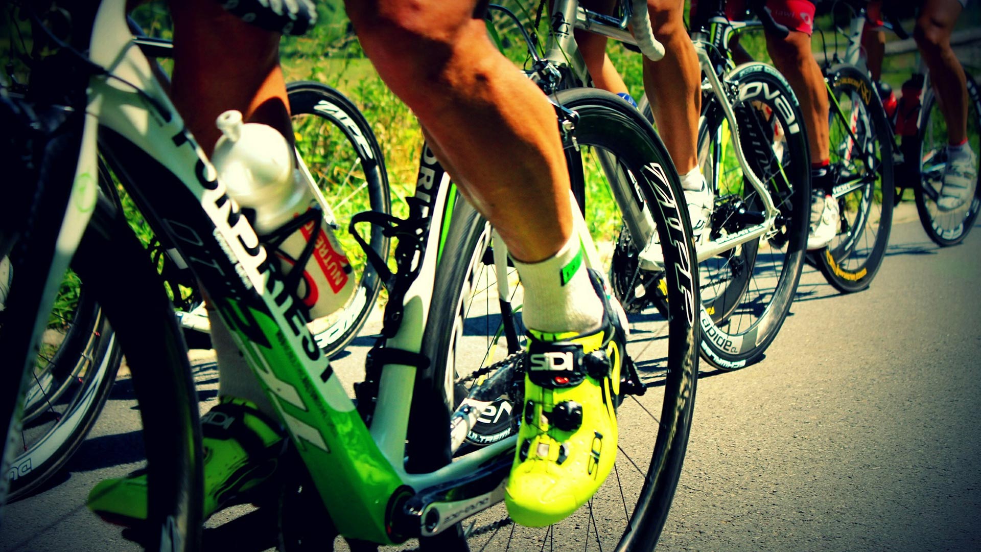 Bicycle race