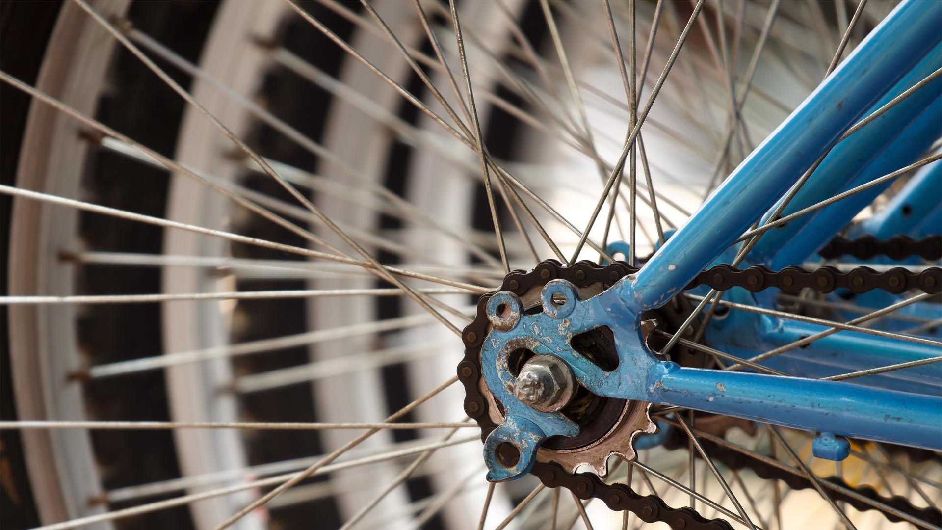 Bicycle wheel