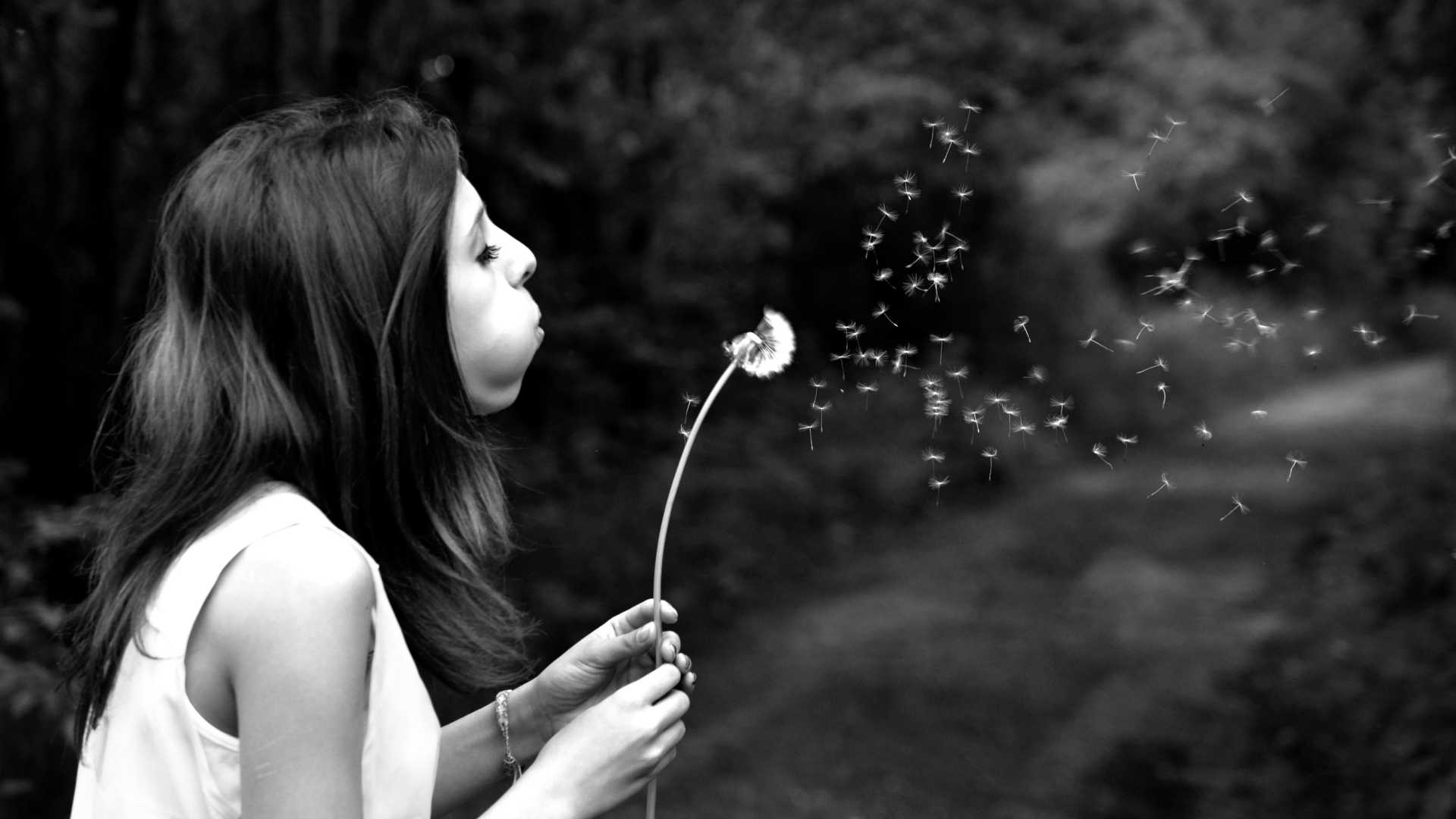 girl blowing dandelions