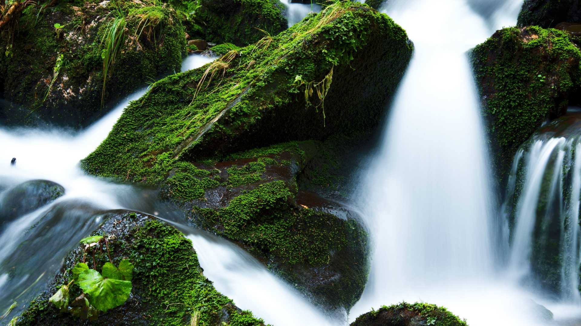 waterfalls in the hills