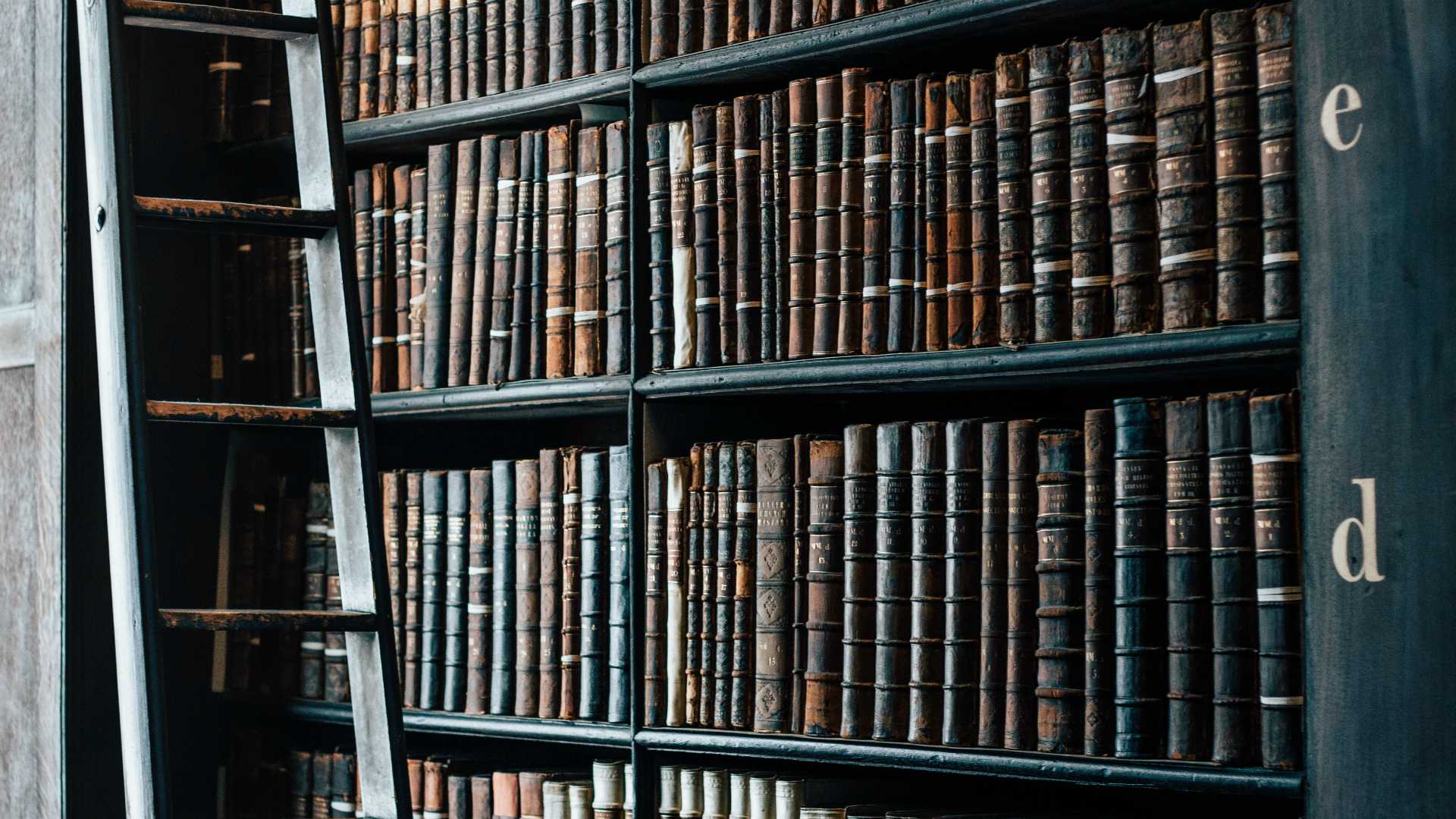 bookshelves with ladder