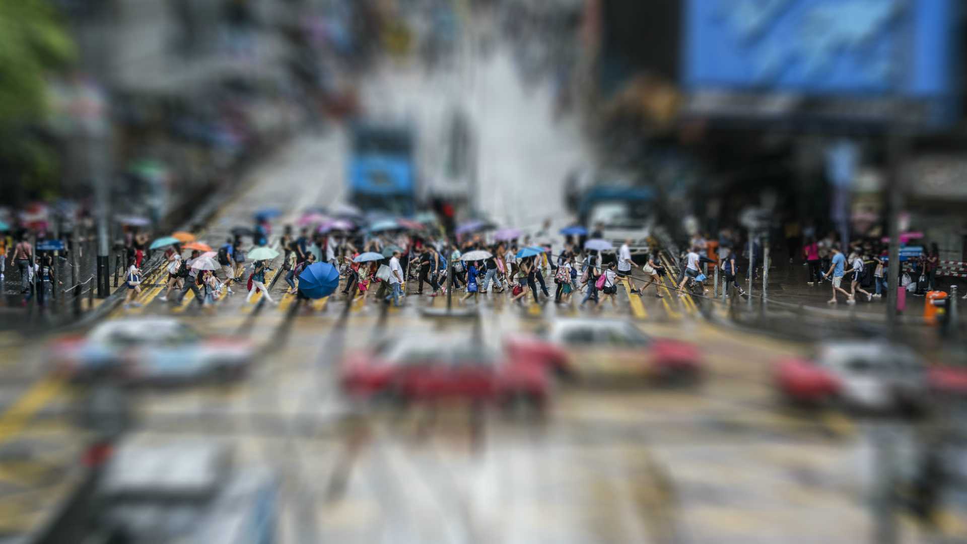 crowd of people