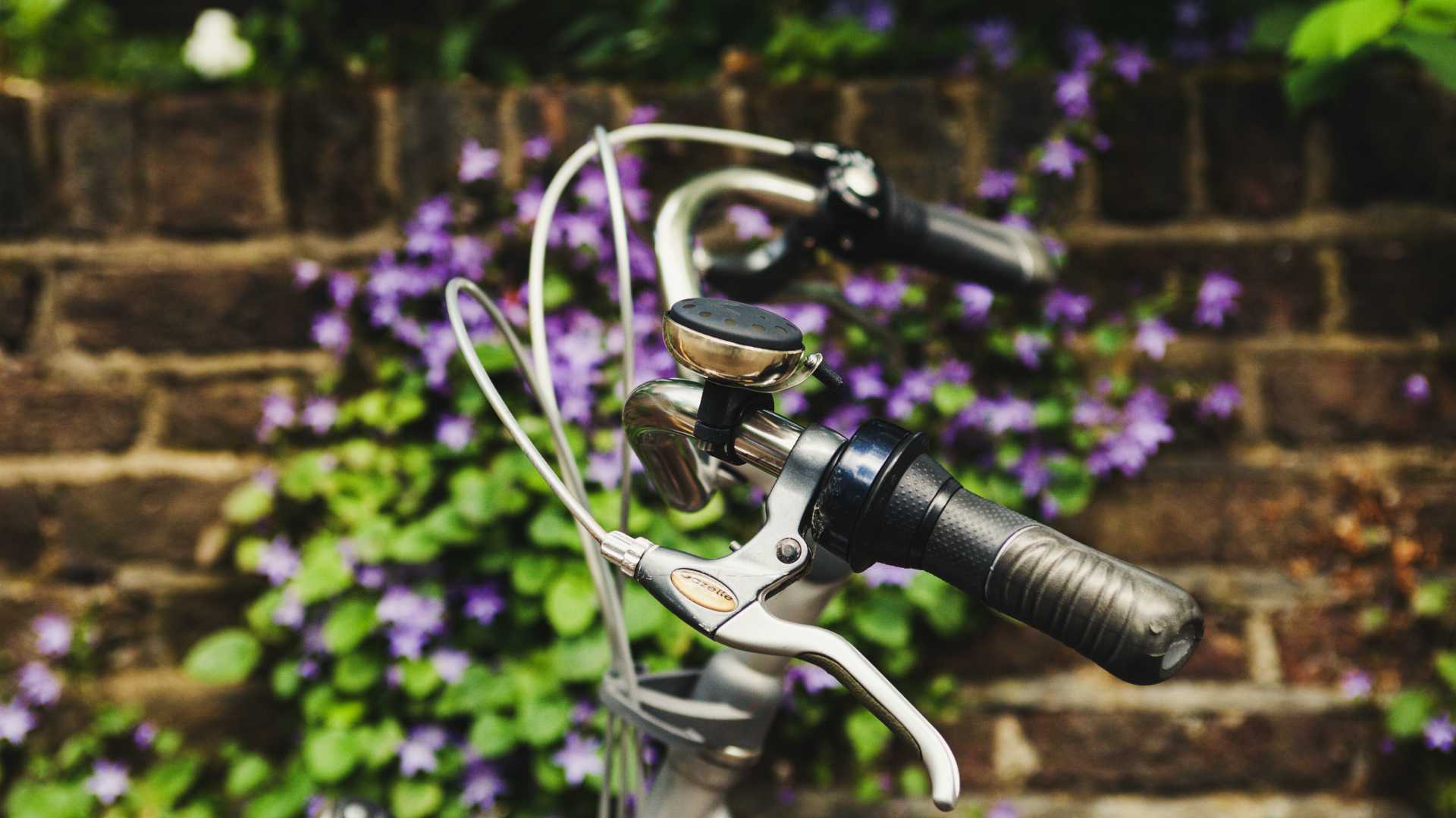 bike gears