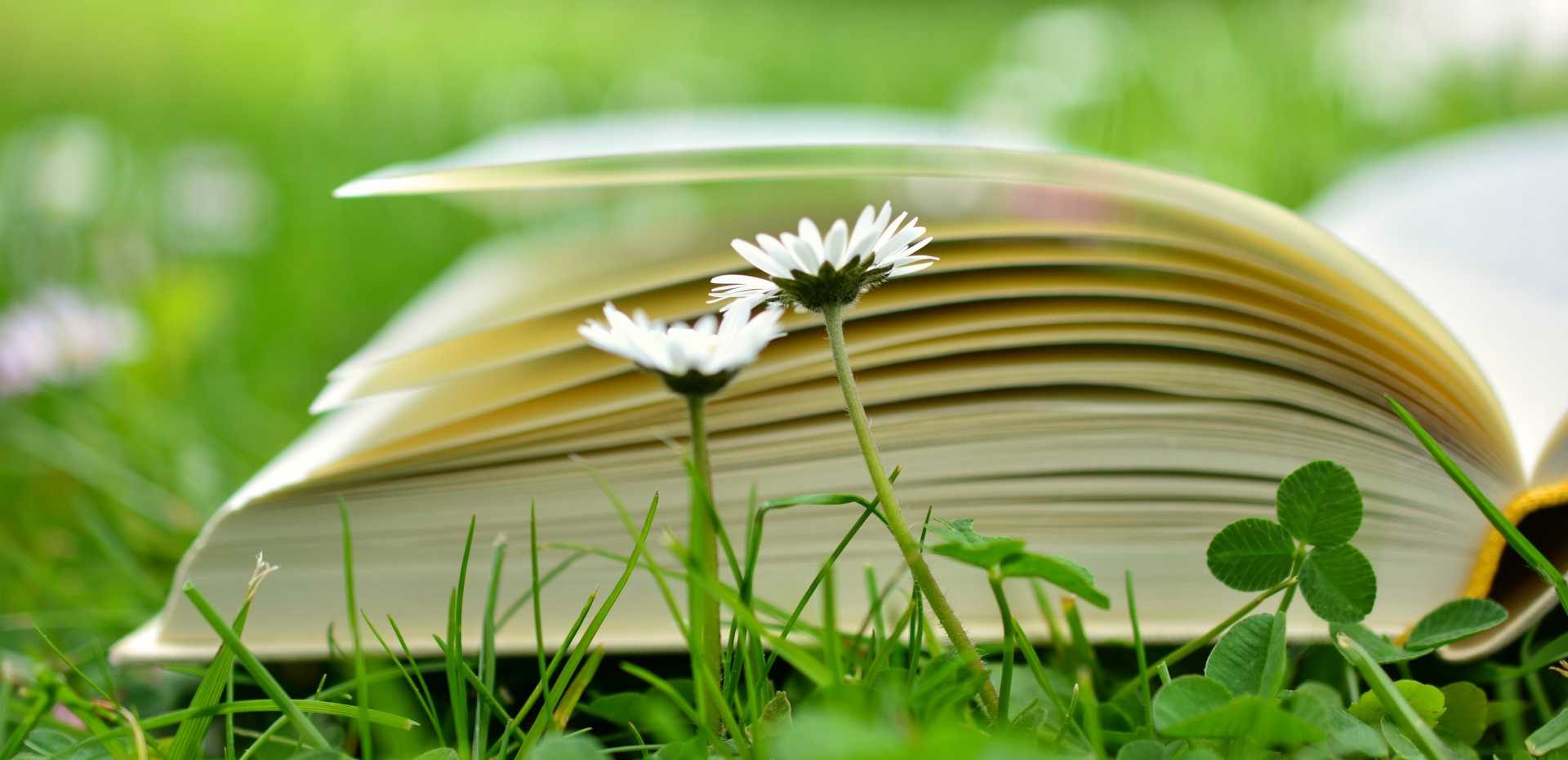 open book on grass with flowers and 4-leaf clover