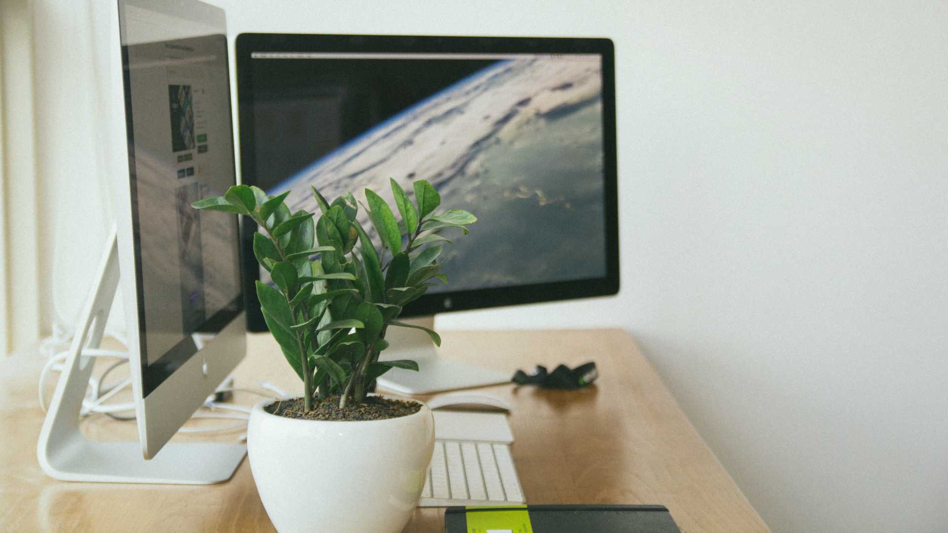 workstation with two monitors and a plant