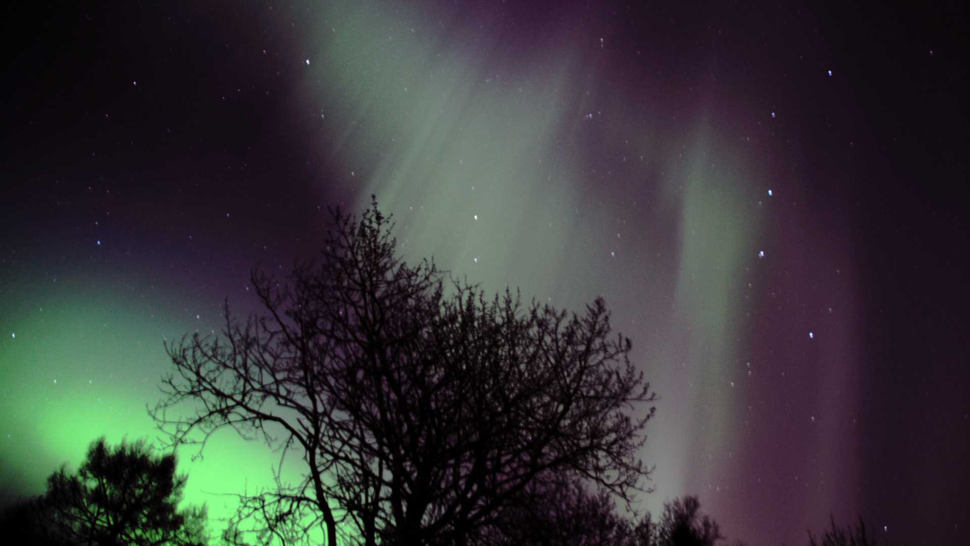 northern star