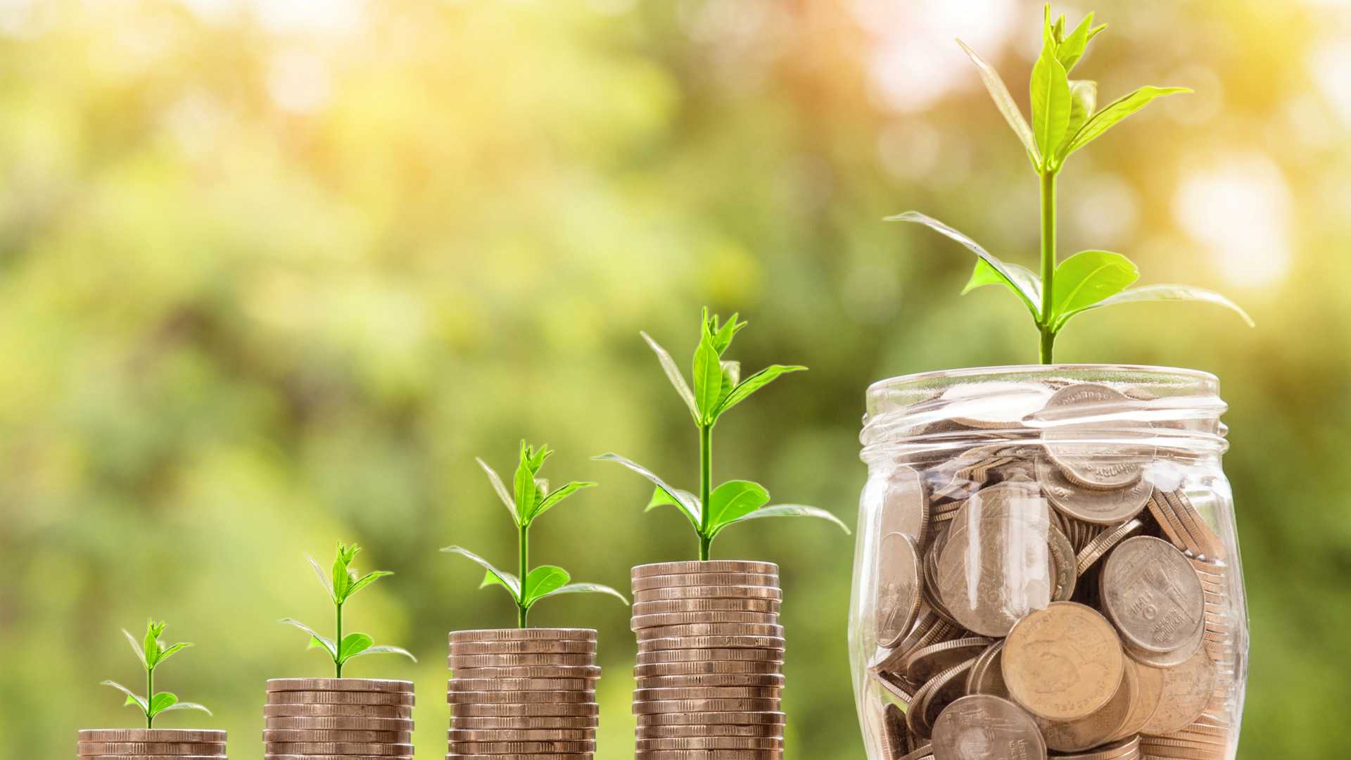 coins with plants