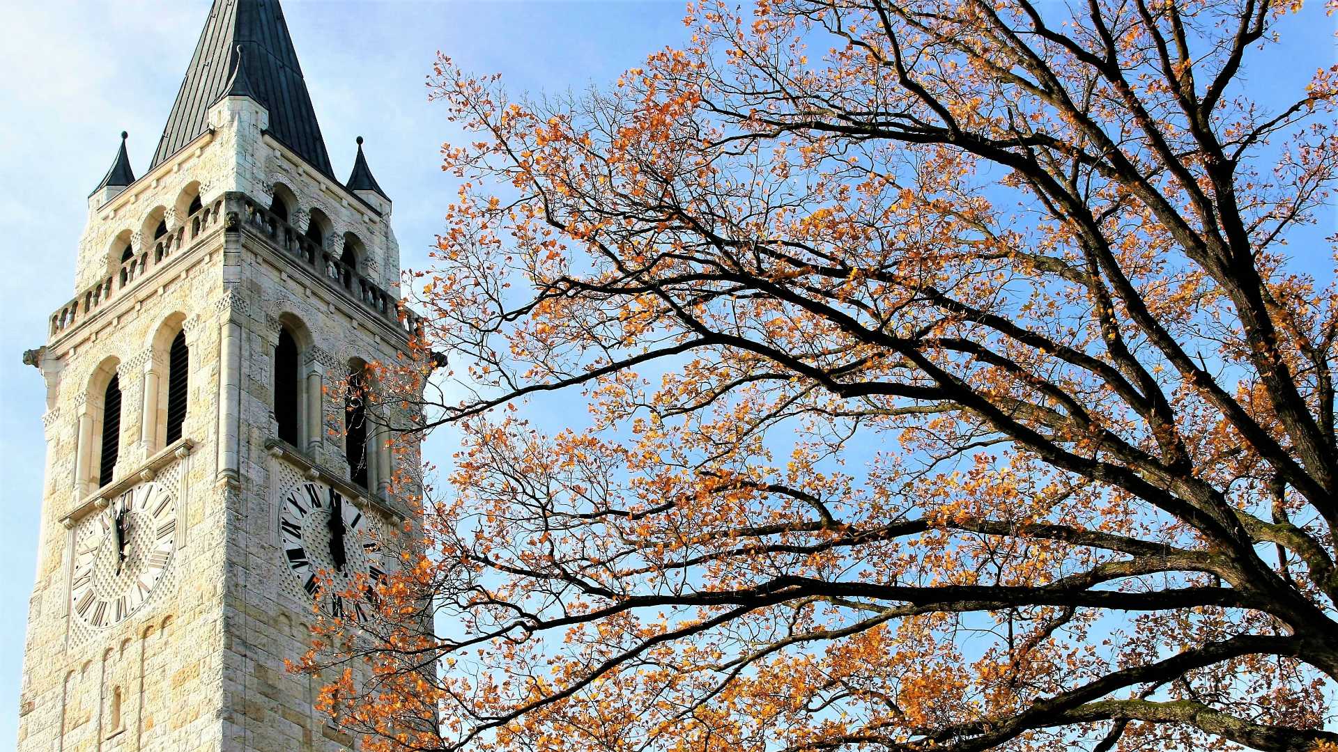 fall leaves on a tree outside a tower