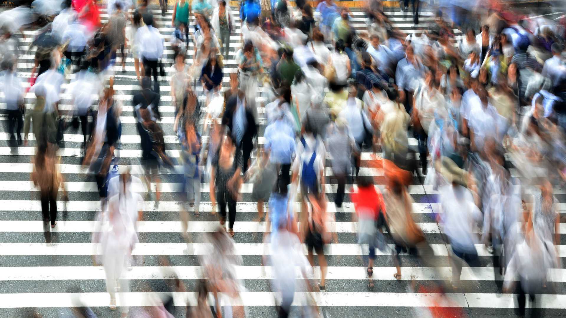 crowd of people