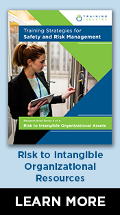 Risk to Intangible Organizational Assets