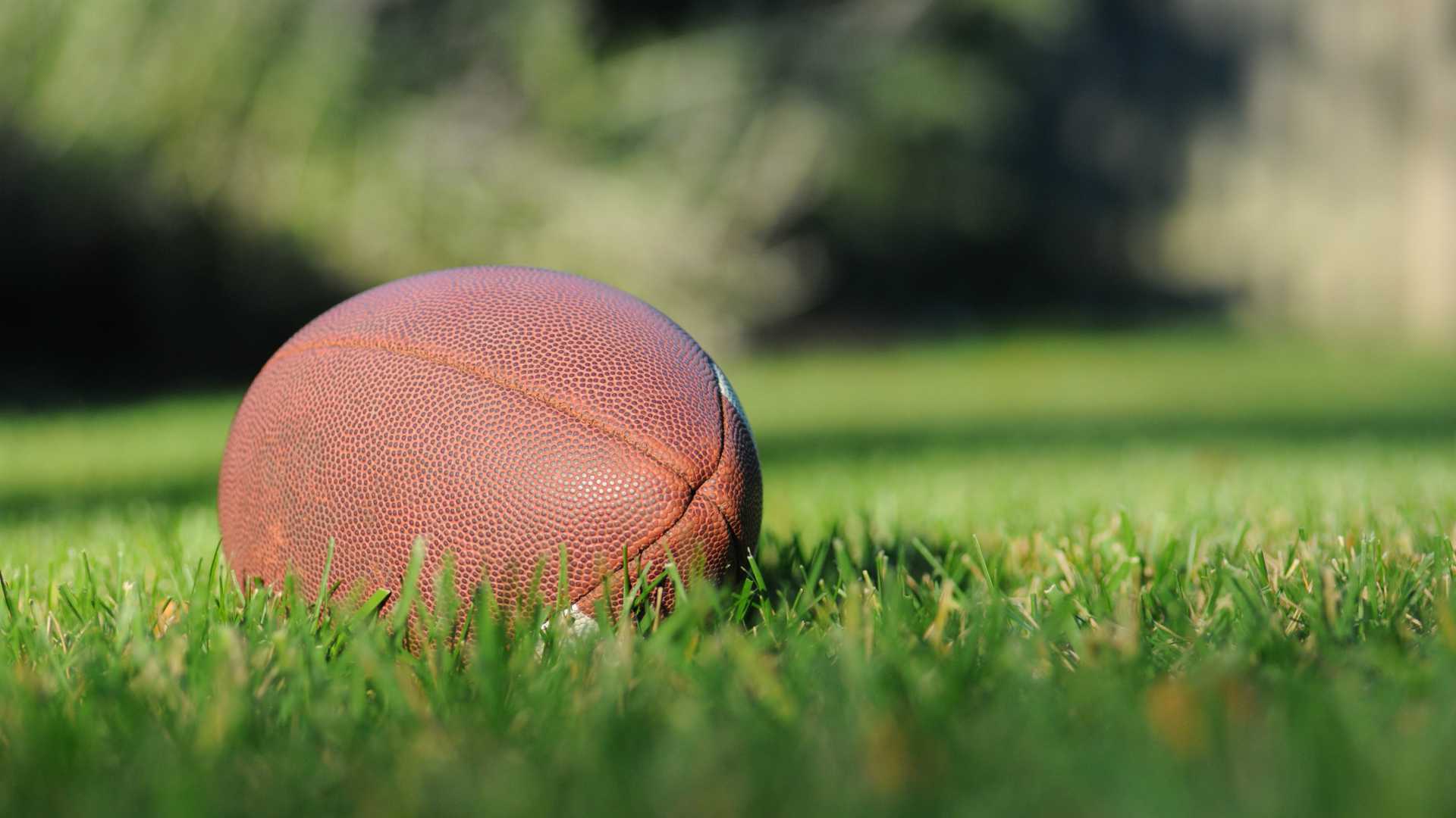 football in grass
