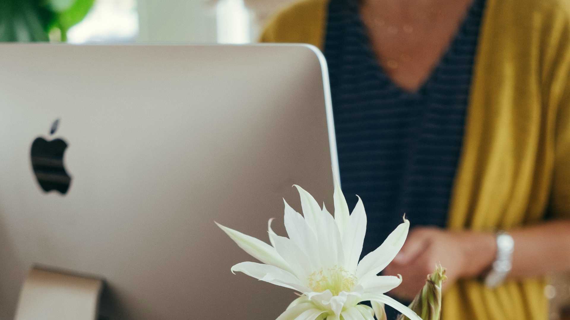 Businesswoman working on laptop with flower on desk