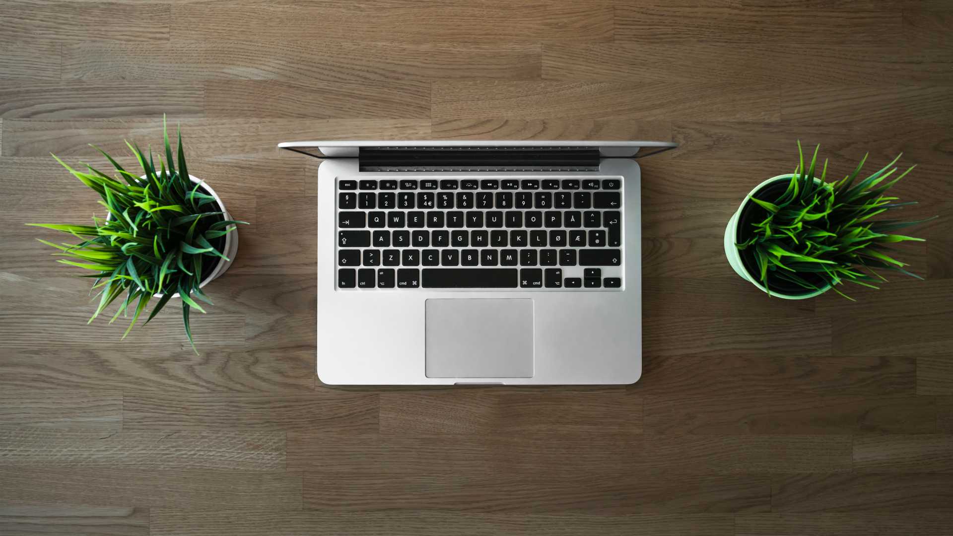 Silver laptop on wooden desk sitting between two house plants