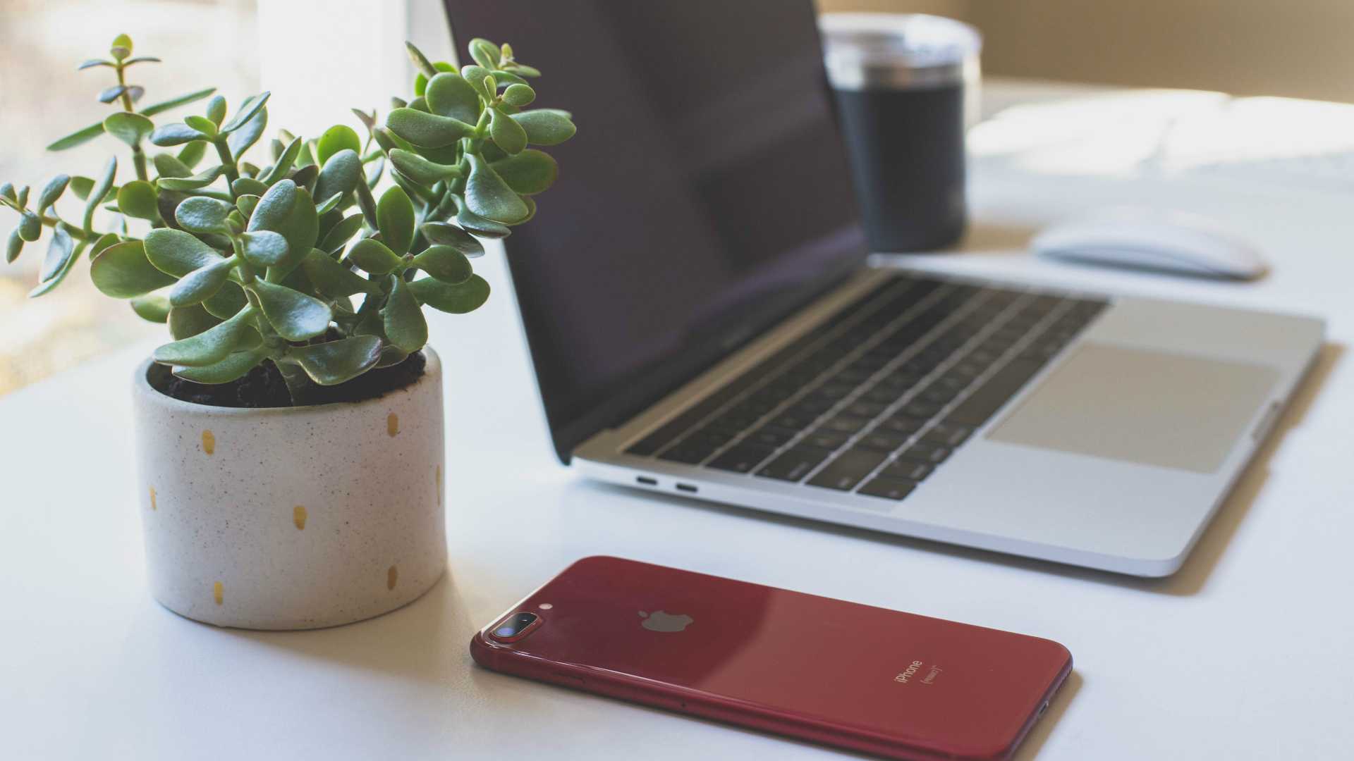 Smartphone with red case and small houseplant in white pot sitting next to businessperson's laptop on white desk
