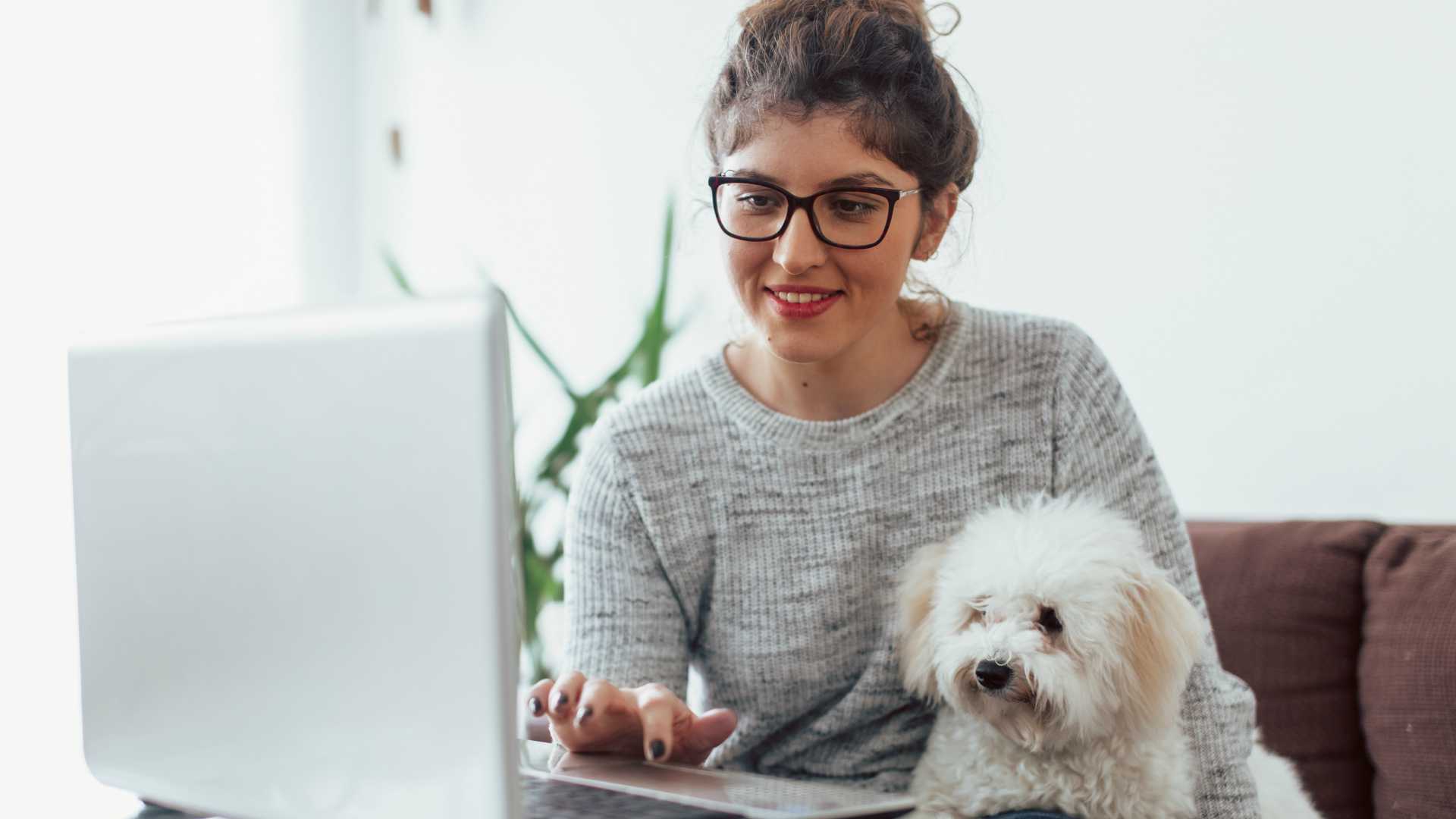 Young businesswoman working from home next to fluffy, tiny puppy