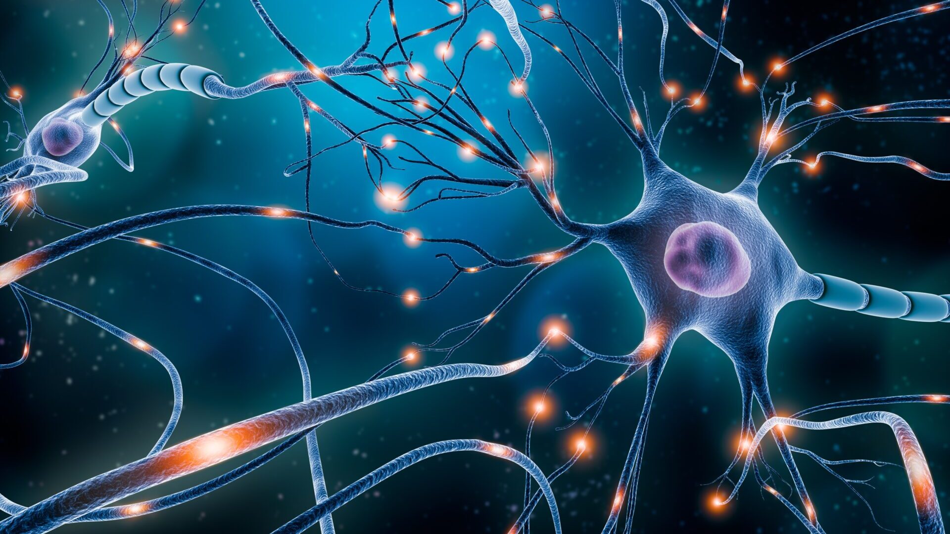 natural learning, science of learning,