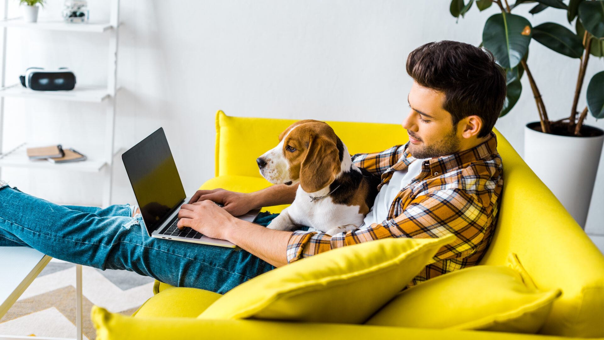a young man with his dog sitting on a yellow couch, with a laptop, investing in employee wellness