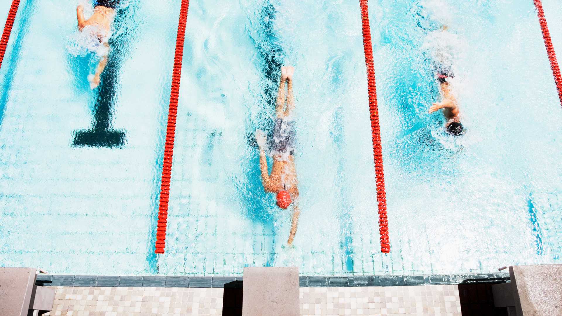 Three swimmers race in different lanes in a large swimming pool