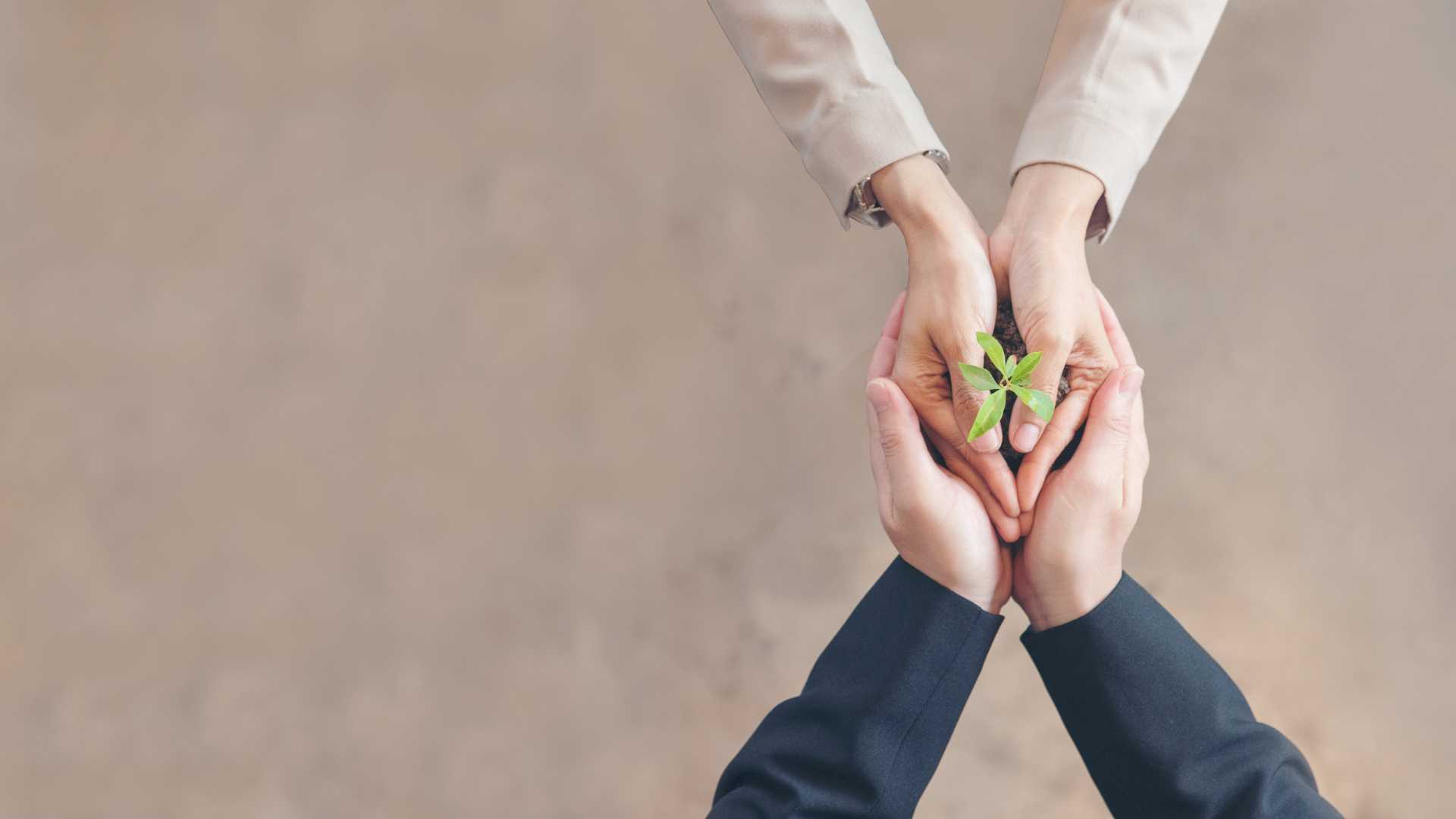 Hands holding a sprouting flower representing growth and support