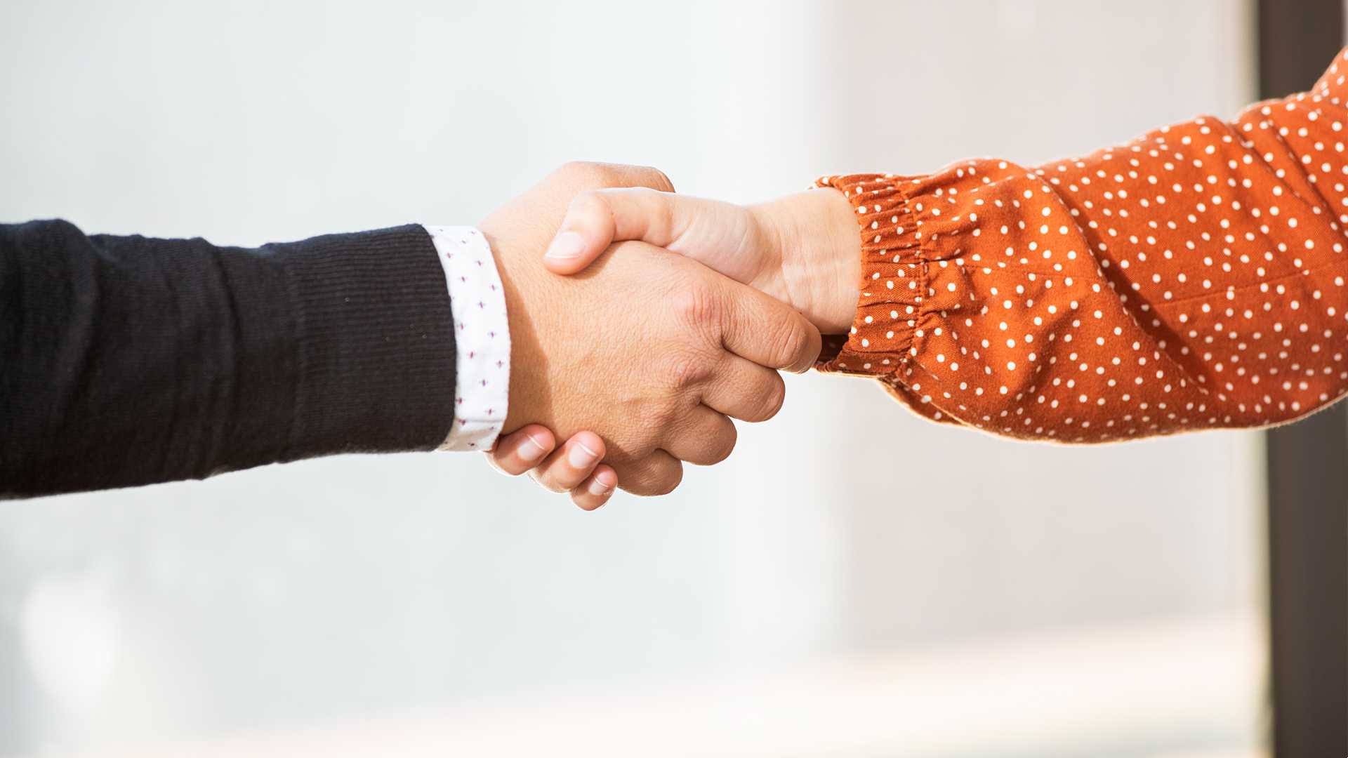 Business professional in human resources talent management shaking hands with employee after conducting an effective exit interview to improve employee training strategies.