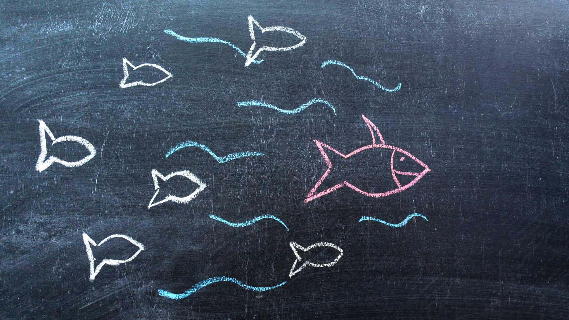 Chalkboard drawn image of fish swimming forward with a pink fish leading the group