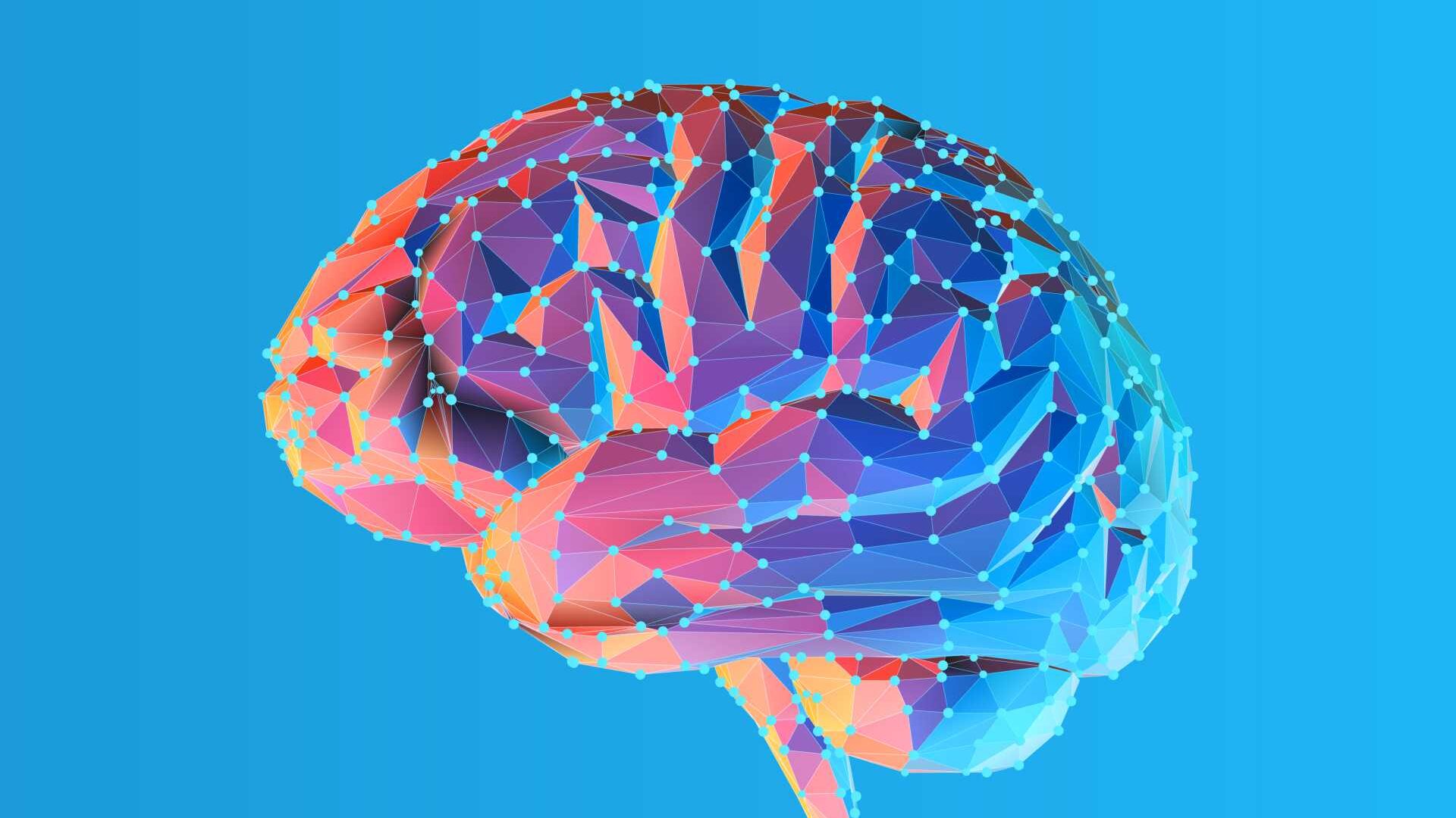 Colorful brain