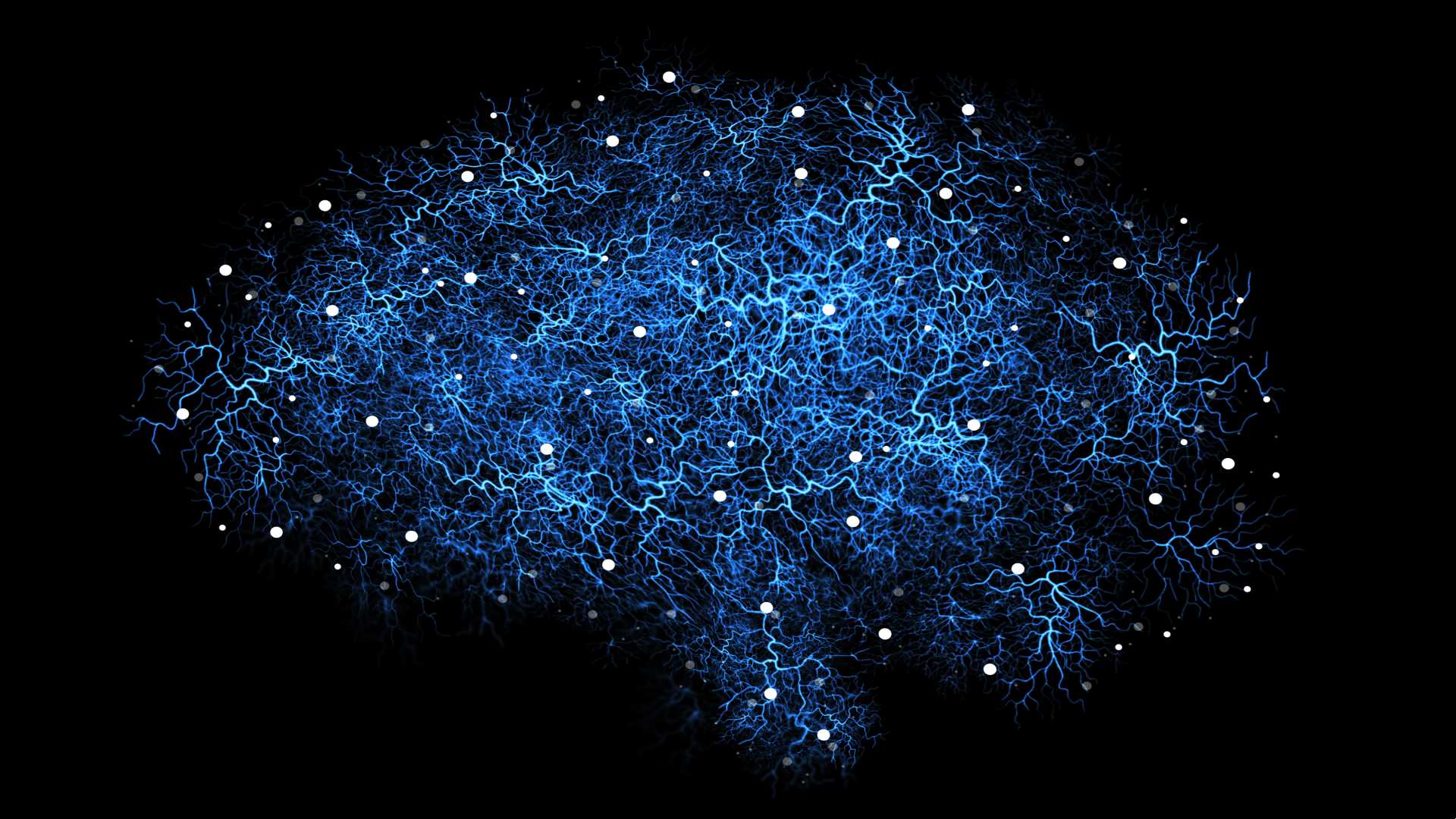 Networking and Technology lighting up on Map.