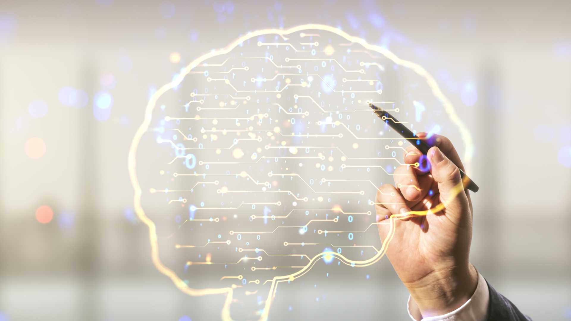 Someone drawing the outline of the brain.