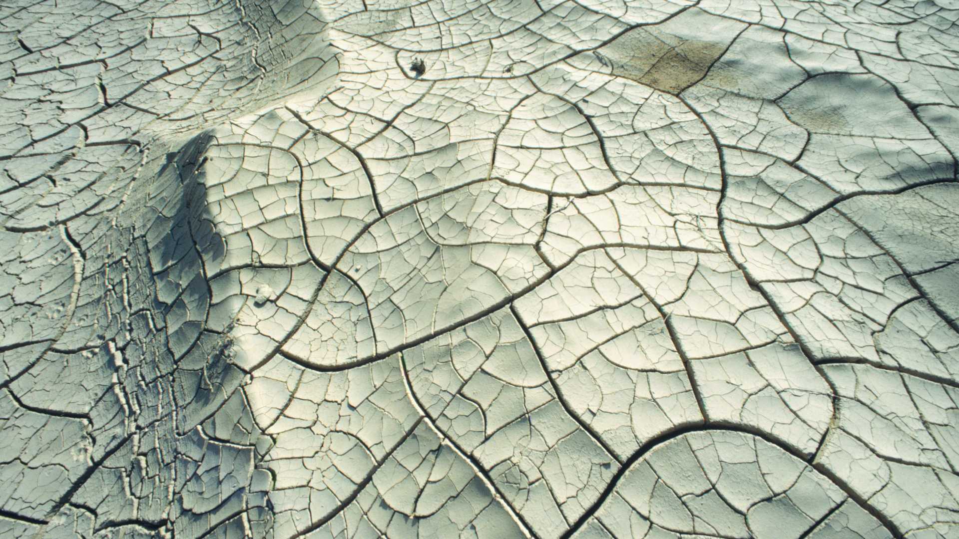 Dry lands in the middle of nowhere.